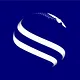 Synspective logo